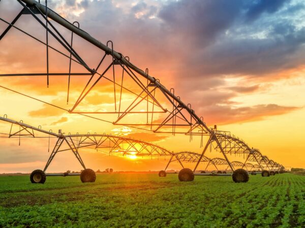 An expansive view of a green agricultural field with an irrigation system extending into the distance. The sun, setting behind scattered clouds, casts a warm golden light over the scene, creating a picturesque sunset.