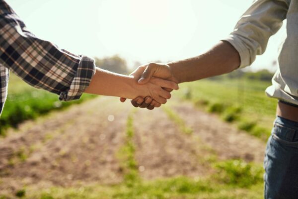 Two people shake hands in a field on a sunny day. One person wears a plaid shirt and the other wears a light-colored shirt with rolled-up sleeves. The background shows rows of crops and greenery under a clear sky