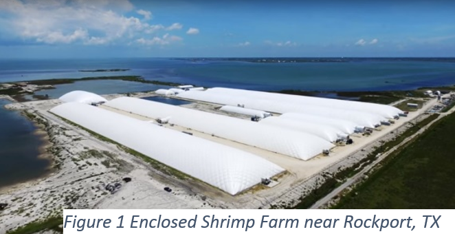 Shrimp Aquaculture Facility