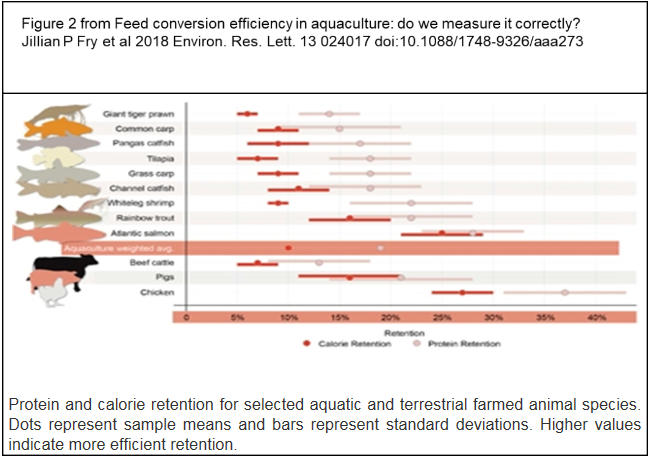 Feed Concersions 