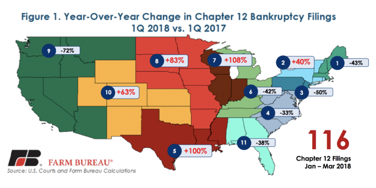 bankrupt filings in the us DIS