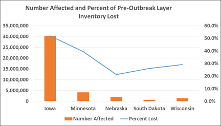 Avian Influenza Outbreak Subsides