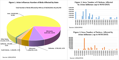 Avian Influenza Number of Birds by state