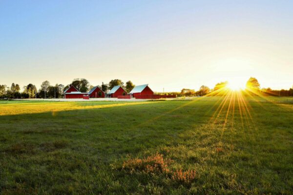 A serene countryside landscape at sunrise, featuring a green field with three red barns in the distance. Sun rays extend across the sky, casting a warm glow over the scene. Trees line the horizon under a clear sky