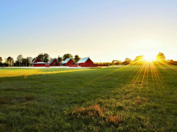 A serene countryside landscape at sunrise, featuring a green field with three red barns in the distance. Sun rays extend across the sky, casting a warm glow over the scene. Trees line the horizon under a clear sky