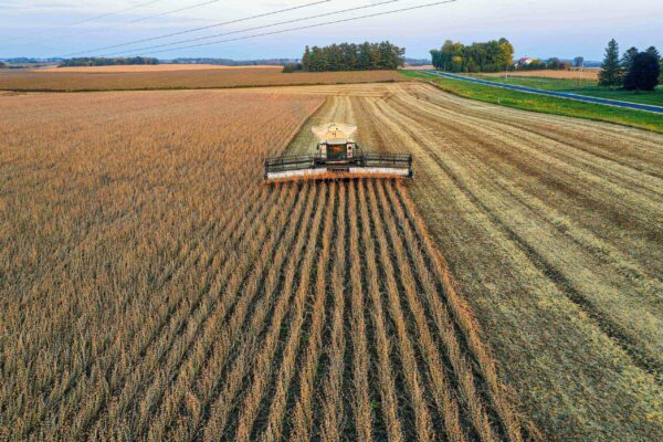 Aerial view of a combine harvester working in a large, neatly plowed cornfield at sunset. The machine creates parallel rows as it moves, with cut and uncut corn visible. The surrounding landscape includes trees, a road, and distant buildings under a clear sky.