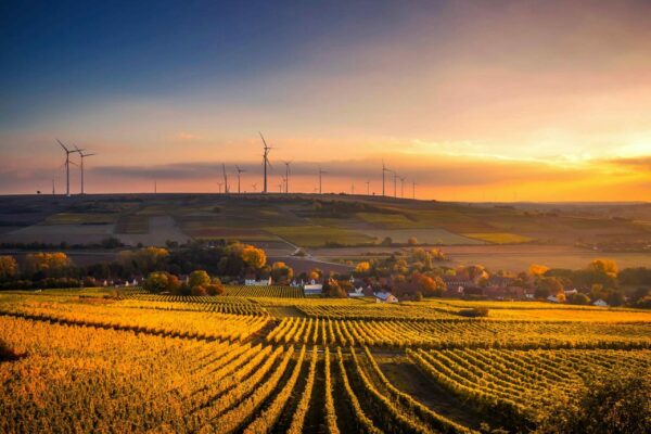 A picturesque view of a countryside at sunset with lush green fields and wind turbines scattered in the distance. Small houses are nestled among the fields, and the sky is aglow with warm hues of orange and yellow as the sun sets