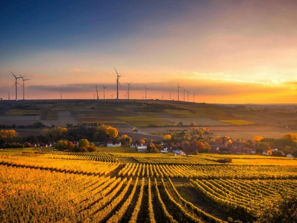 A picturesque view of a countryside at sunset with lush green fields and wind turbines scattered in the distance. Small houses are nestled among the fields, and the sky is aglow with warm hues of orange and yellow as the sun sets